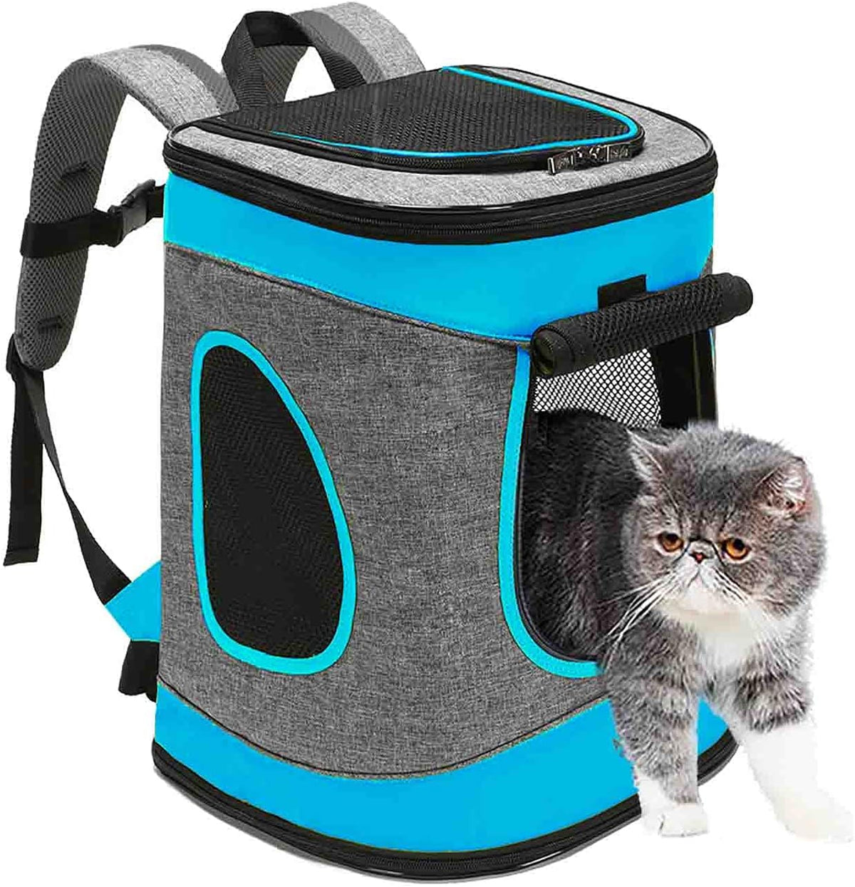 Hundebox faltbar Transportbox Hunde und Katze Transporttasche für Auto- und Flugreisen geeignet Tragetasche Rucksack Spazi mit Komfort und Sicherheit robuster: Grau-Blau